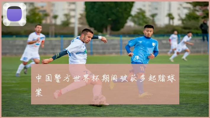 中国警方世界杯期间破获多起赌球案